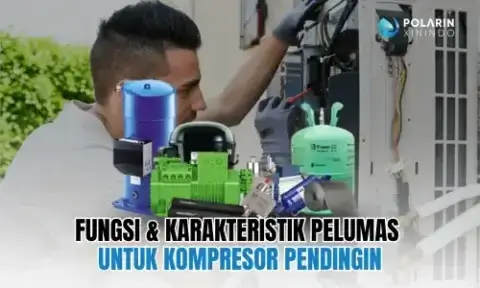 Design Artikel Post Polarin.ci.id